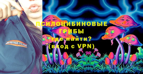 молекула духа Богородск