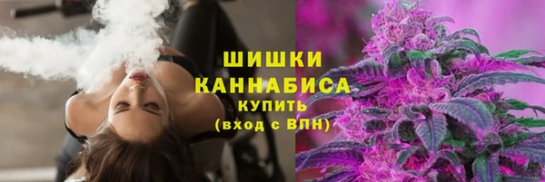 молекула духа Богородск
