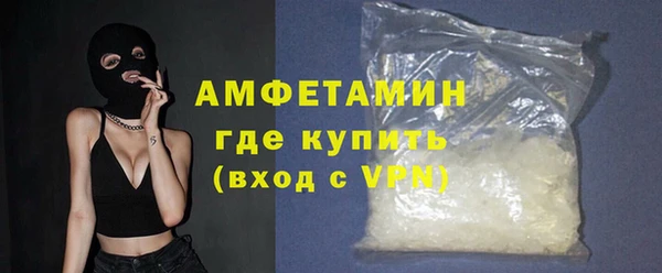 молекула духа Богородск