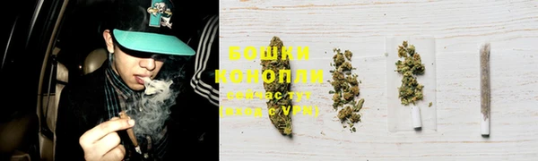 молекула духа Богородск