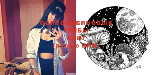 молекула духа Новозыбков