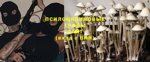 кокаин Богданович
